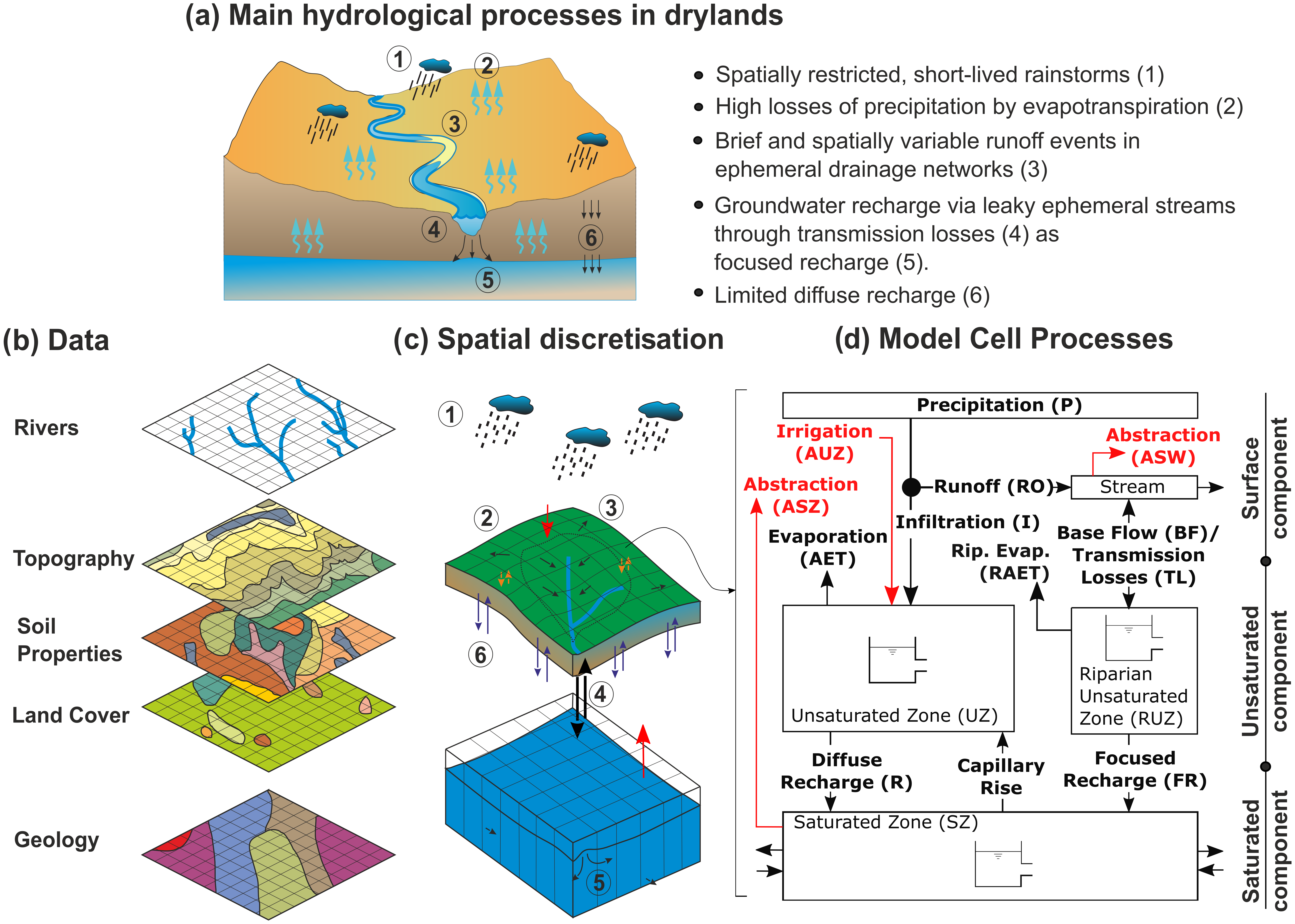 Clam Carry Successful GMD - DRYP 1.0: a parsimonious hydrological model of DRYland Partitioning  of the water balance