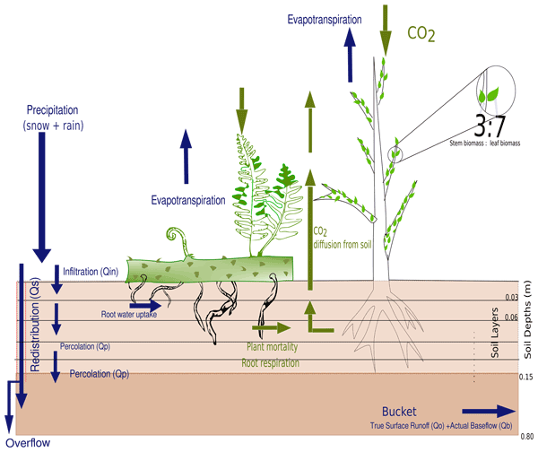 GMD - Relations - MAESPA: a model to study interactions between water  limitation, environmental drivers and vegetation function at tree and stand  levels, with an example application to [CO2] × drought interactions